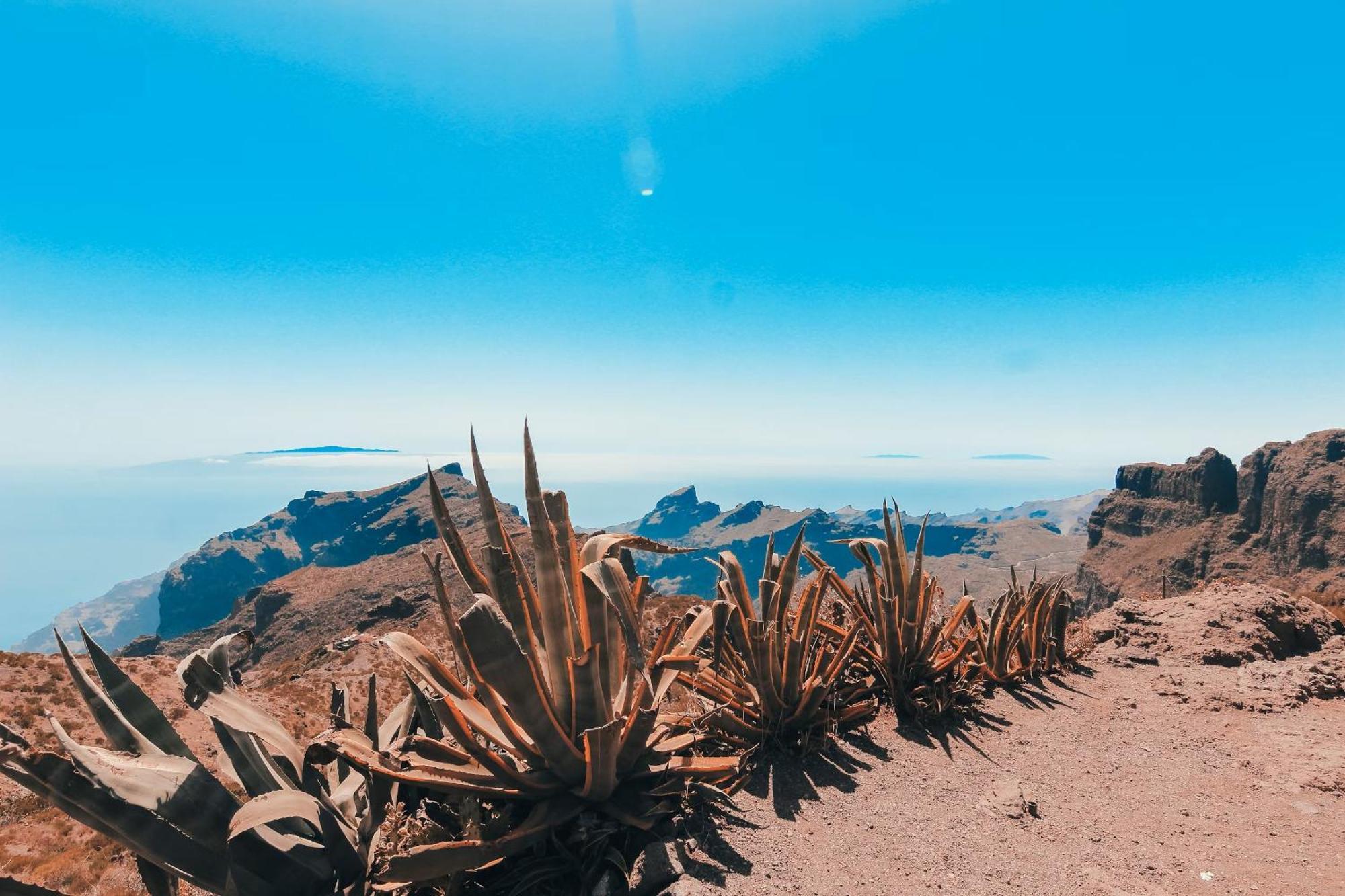 New Apartment In Tenerife Коста-дель-Силенцио Экстерьер фото